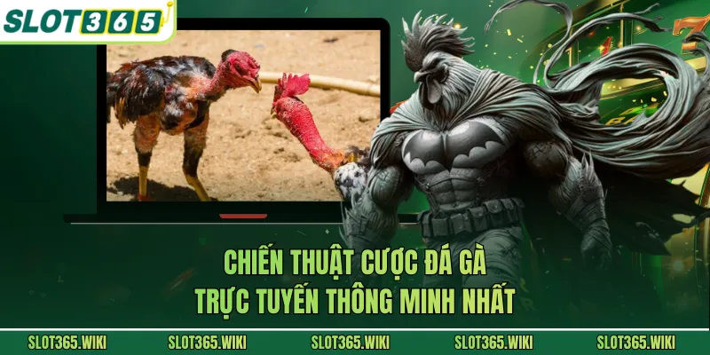 Chiến thuật cược đá gà trực tuyến thông minh nhất